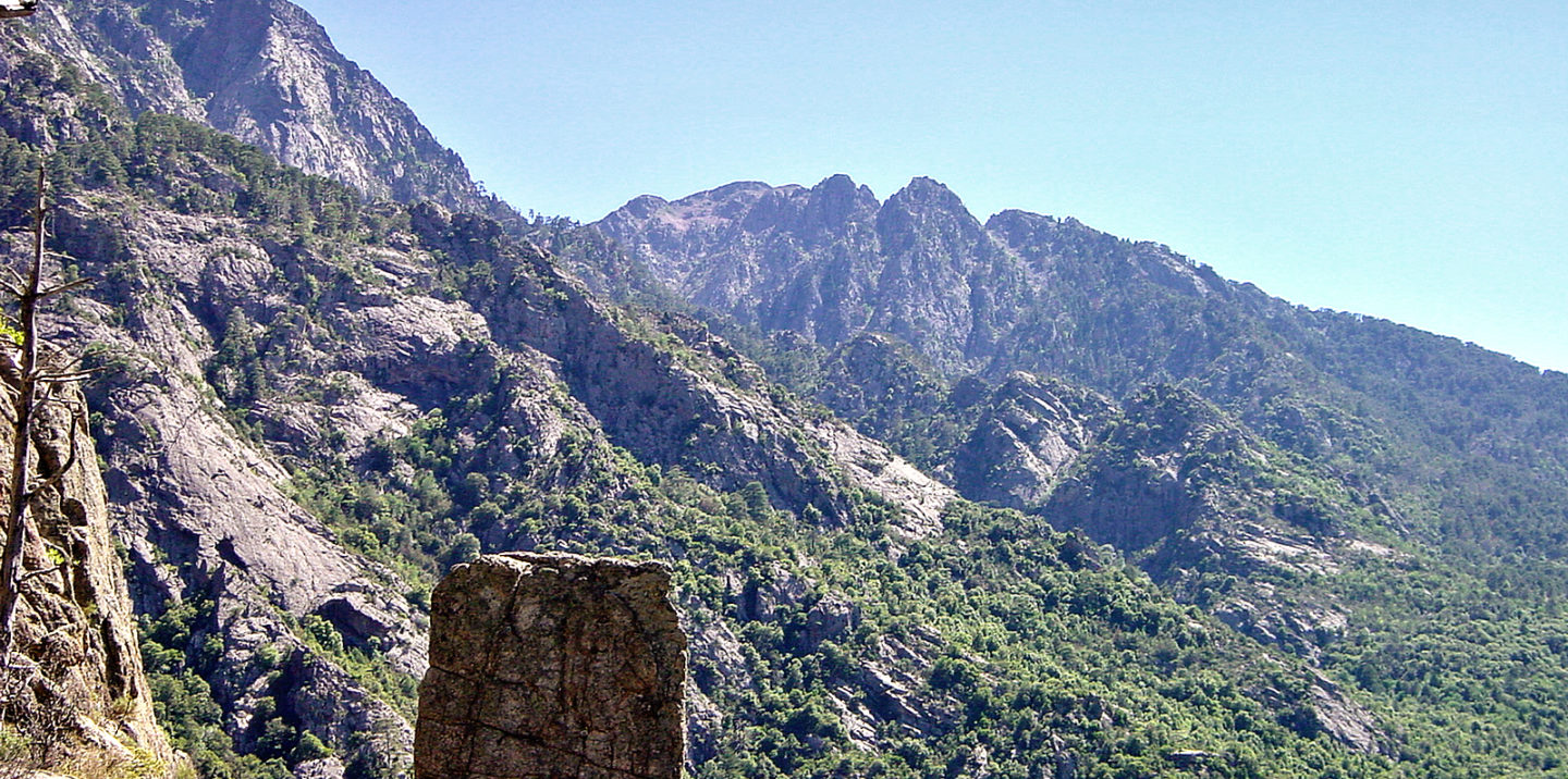 Forêt territoriale de Bonifatu, Corse.