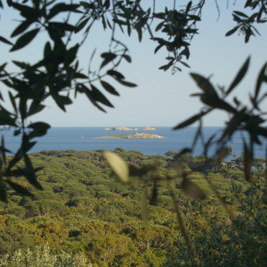 Îles Cerbicales, Corse.